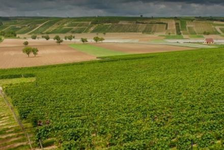 Domaine François Millet