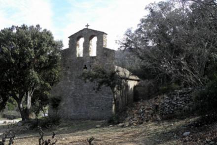 Cave Coopérative Castelmaure
